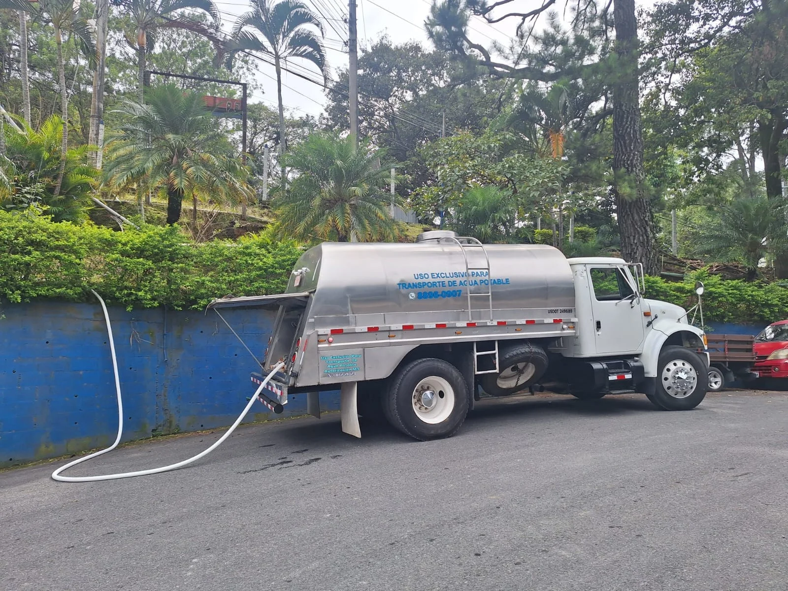 Cómo funciona el transporte de agua